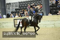 24BUCK_09790 thumbnail