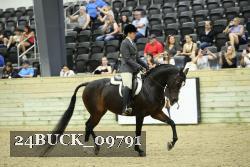 24BUCK_09791 thumbnail