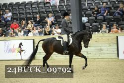 24BUCK_09792 thumbnail