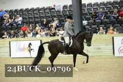 24BUCK_09796 thumbnail