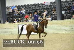 24BUCK_09798 thumbnail