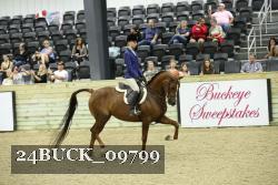 24BUCK_09799 thumbnail