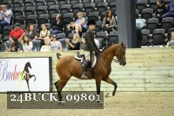 24BUCK_09801 thumbnail