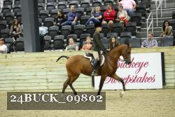 24BUCK_09802 thumbnail
