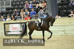 24BUCK_09804 thumbnail