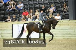 24BUCK_09805 thumbnail