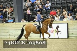 24BUCK_09808 thumbnail