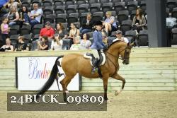 24BUCK_09809 thumbnail