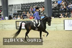 24BUCK_09812 thumbnail