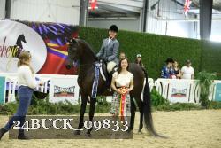 24BUCK_09833 thumbnail