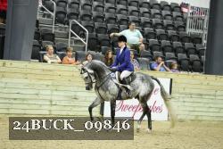 24BUCK_09846 thumbnail