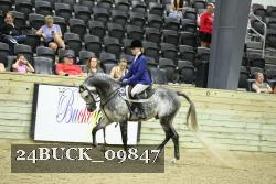 24BUCK_09847 thumbnail