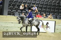 24BUCK_09848 thumbnail