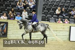 24BUCK_09849 thumbnail