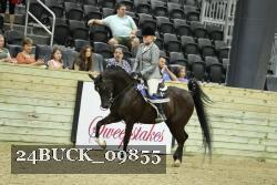 24BUCK_09855 thumbnail