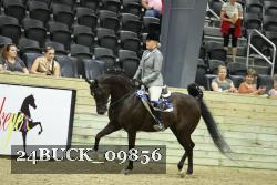 24BUCK_09856 thumbnail