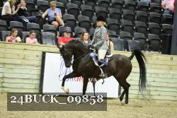 24BUCK_09858 thumbnail
