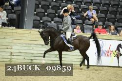 24BUCK_09859 thumbnail