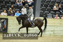 24BUCK_09860 thumbnail