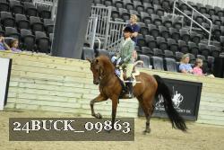 24BUCK_09863 thumbnail
