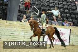 24BUCK_09865 thumbnail