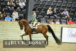 24BUCK_09867 thumbnail