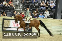 24BUCK_09868 thumbnail