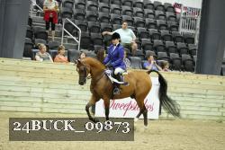 24BUCK_09873 thumbnail