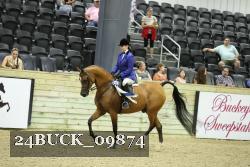 24BUCK_09874 thumbnail