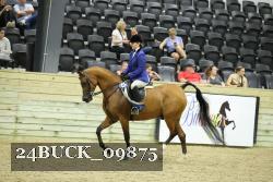 24BUCK_09875 thumbnail