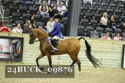 24BUCK_09876 thumbnail