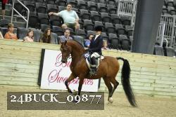 24BUCK_09877 thumbnail