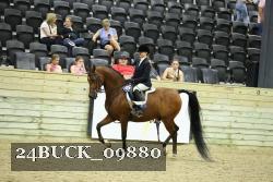 24BUCK_09880 thumbnail