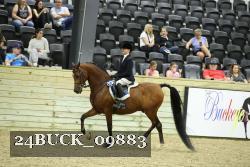 24BUCK_09883 thumbnail