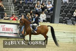 24BUCK_09884 thumbnail