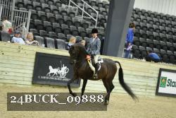 24BUCK_09888 thumbnail