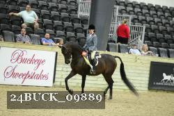 24BUCK_09889 thumbnail
