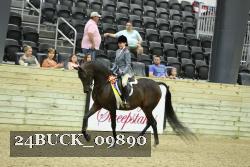 24BUCK_09890 thumbnail