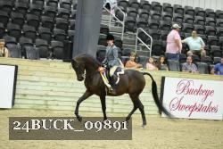24BUCK_09891 thumbnail