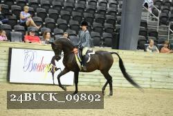 24BUCK_09892 thumbnail