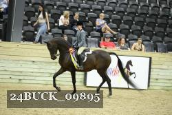 24BUCK_09895 thumbnail