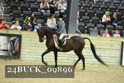 24BUCK_09896 thumbnail