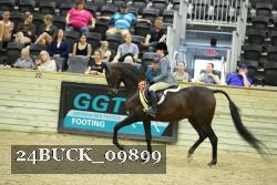 24BUCK_09899 thumbnail