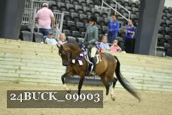 24BUCK_09903 thumbnail