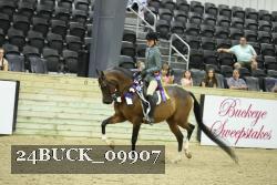 24BUCK_09907 thumbnail