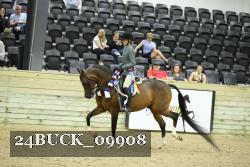 24BUCK_09908 thumbnail
