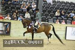 24BUCK_09911 thumbnail