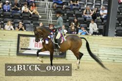 24BUCK_09912 thumbnail
