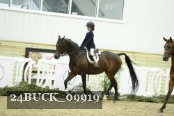 24BUCK_09919 thumbnail