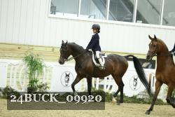 24BUCK_09920 thumbnail